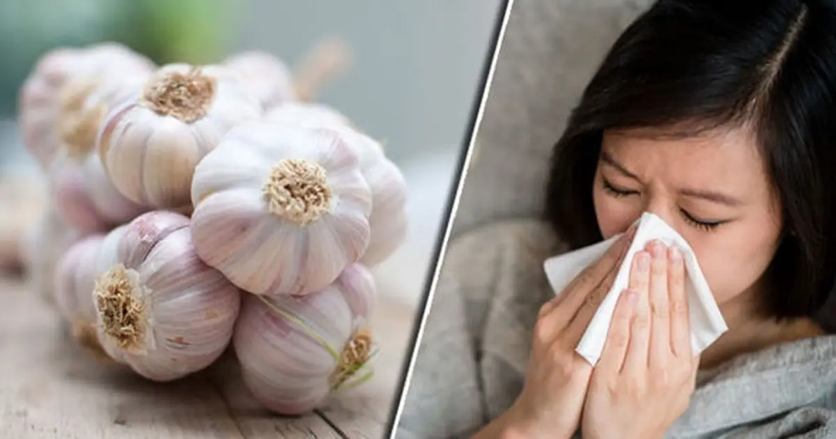 Raw Garlic – The Superfood for Health: 5 Incredible Benefits & How to Use It Effectively