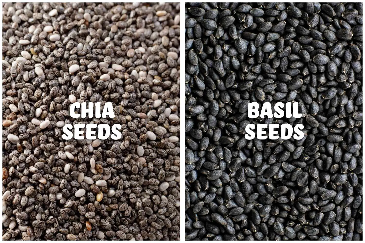 Chia Seeds vs. Basil Seeds: Which Superfood is Better? Health Benefits, How to Use & Delicious Recipes 0402