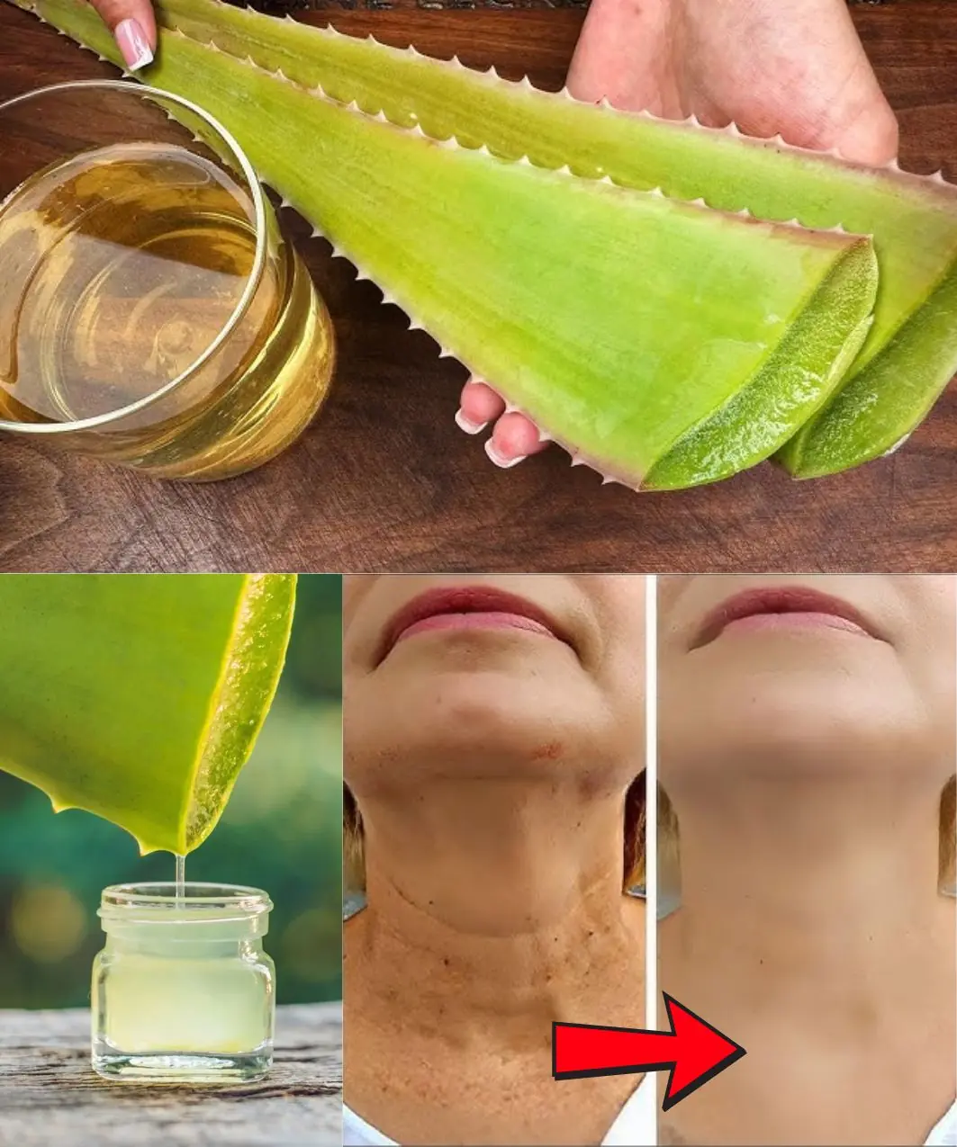 Aloe Vera: The Natural Secret to Wrinkle-Free, Youthful Skin – 1000 Times More Potent Than Botox!