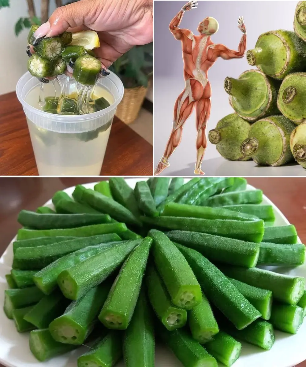 OKRA: The Secret to Healing Your Body Naturally