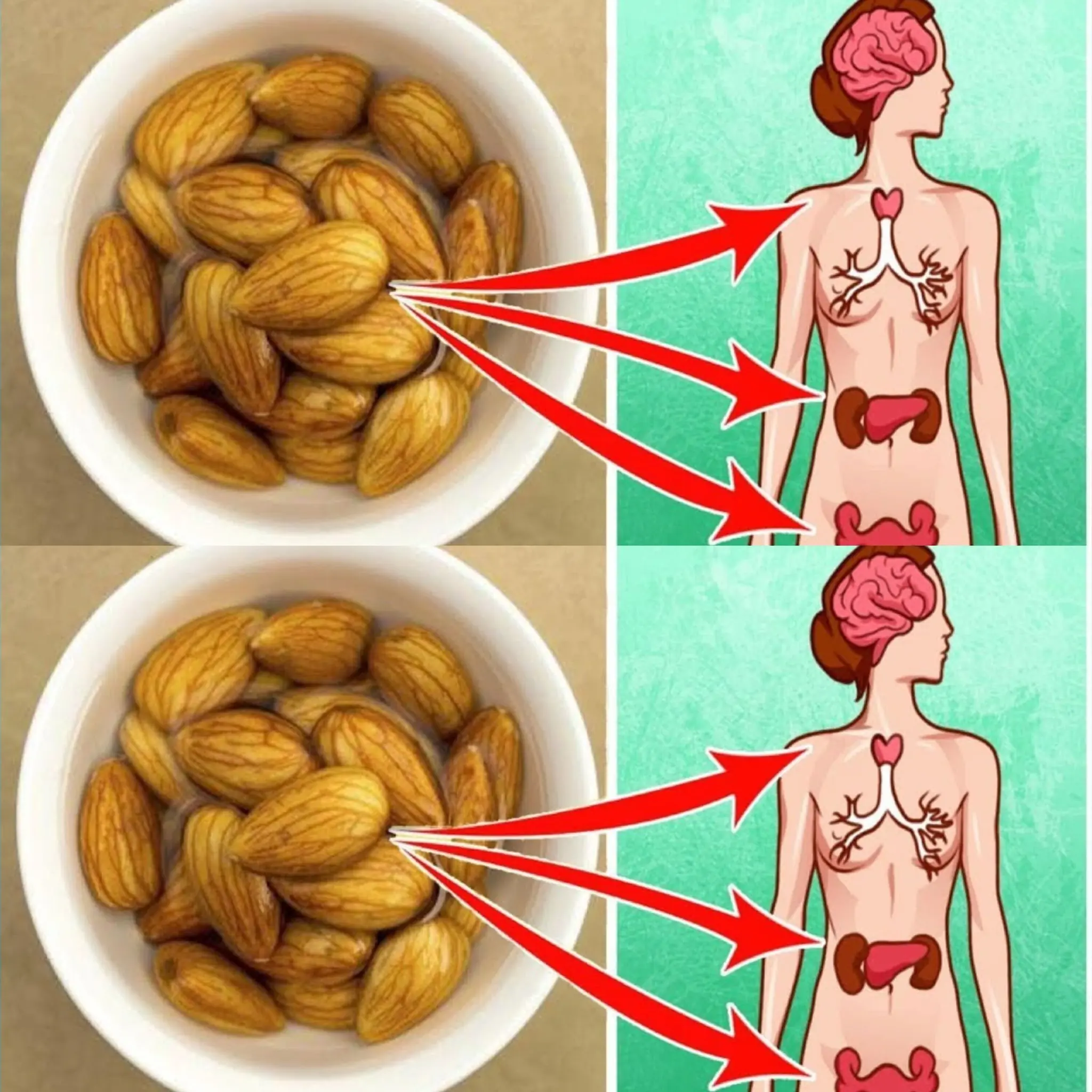 What Really Happens When You Eat Soaked Almonds Every Morning? 🤯💥 (Unbelievable Benefits!)