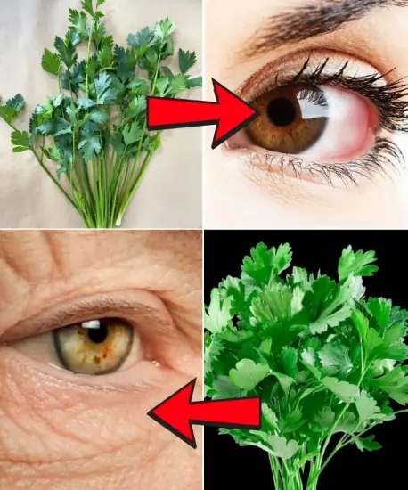 Enhance Your Vision Naturally with Parsley Juice