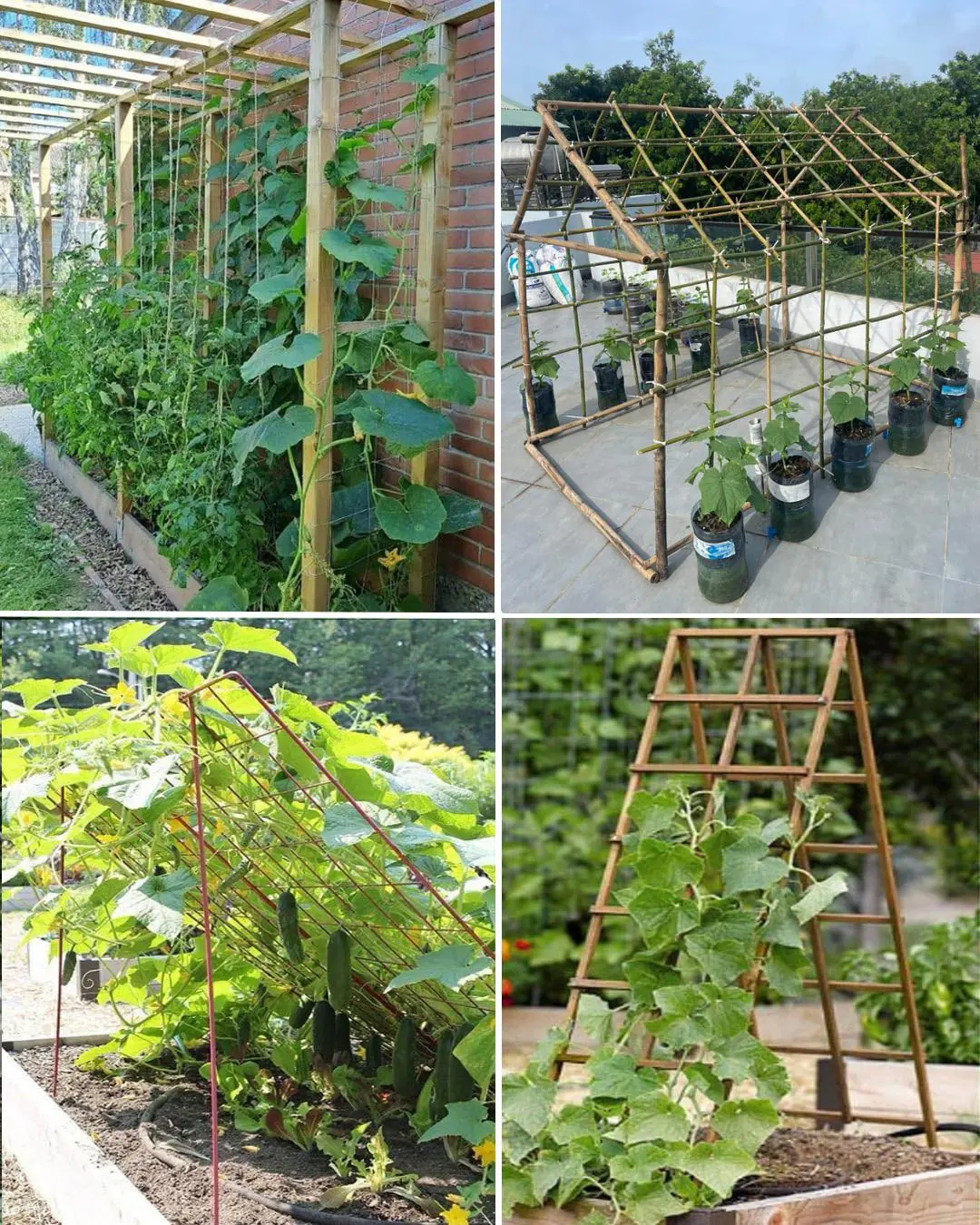 9 Cucumber Trellis & Support Ideas for a Bigger Harvest