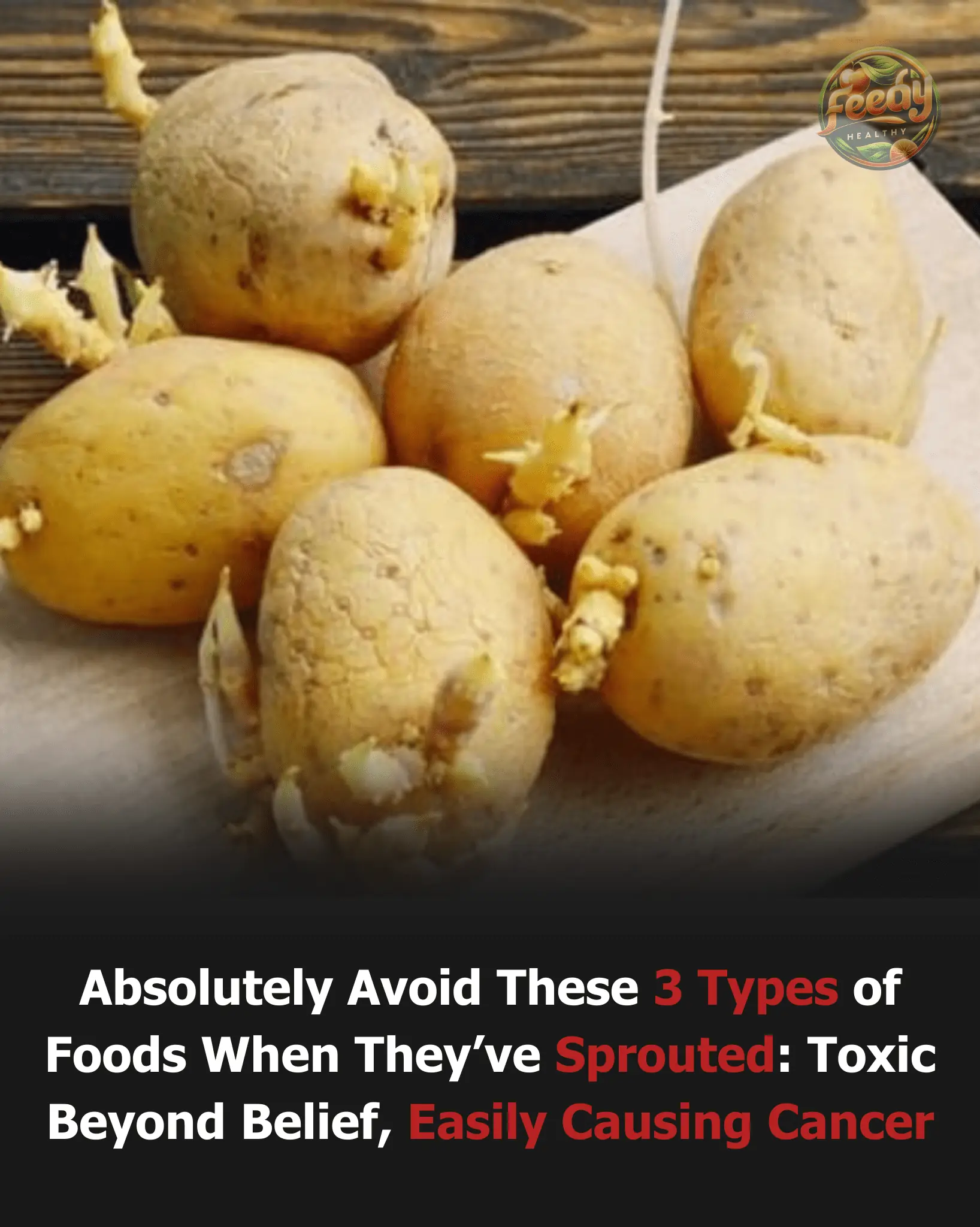 Absolutely Avoid These 3 Types of Foods When They’ve Sprouted: Toxic Beyond Belief, Easily Causing Cancer