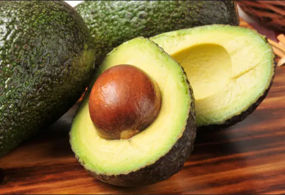 Avocado Seeds: 7 Powerful Reasons to Stop Throwing Them Away