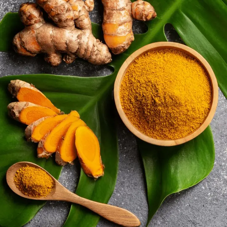 Golden Elixir: 15 Remarkable Health Benefits of Turmeric That Transform Your Well-Being