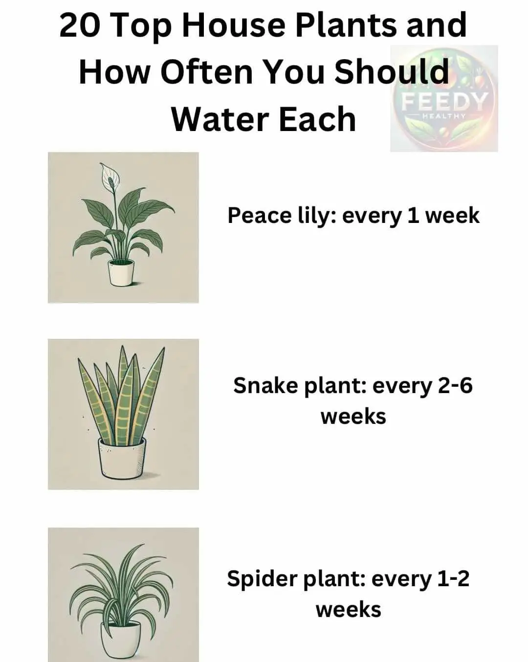 20 Most Popular Houseplants and Proper Watering Techniques