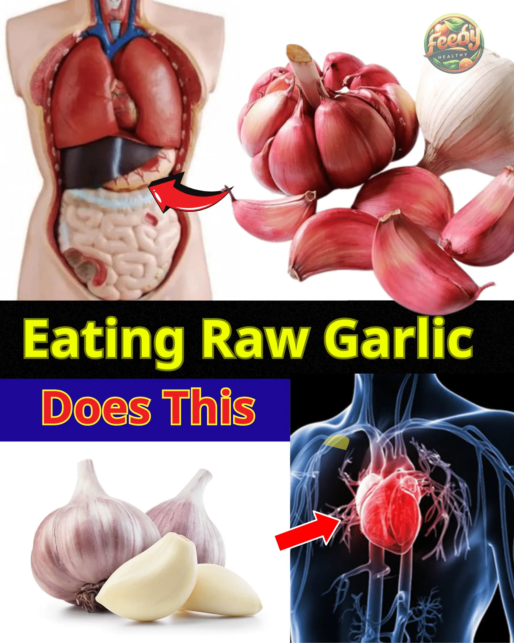 The Nightly Benefits of Eating Raw Garlic Before Bed