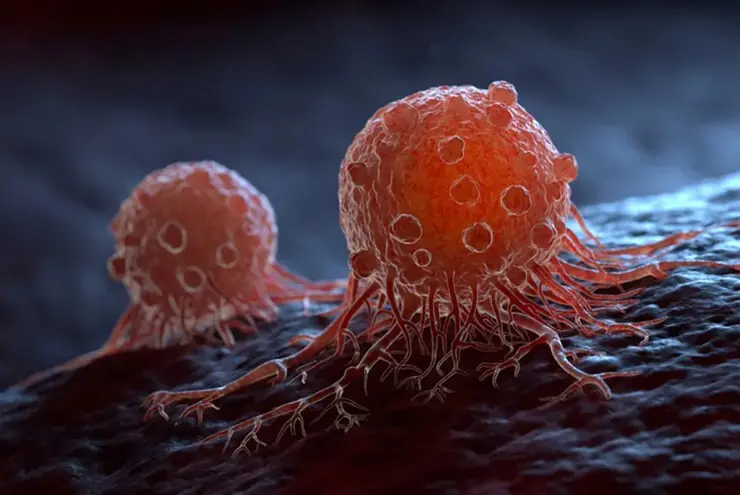 Scientists Have Found an Effective Cancer Treatment Solution