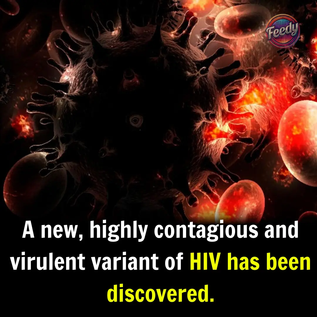 New Highly Contagious and Virulent HIV Variant Discovered