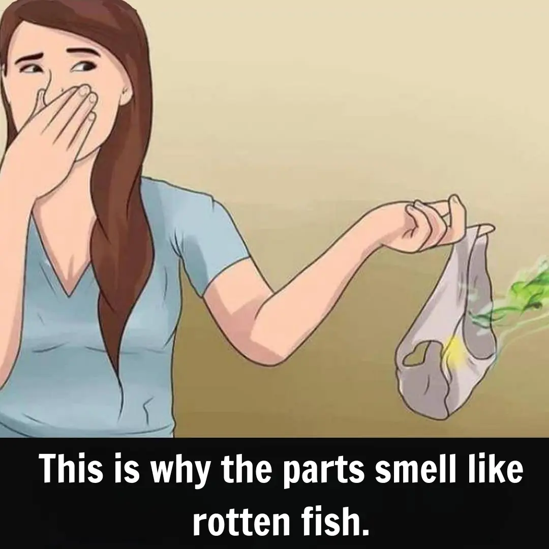 Scandalous discovery of why intimate parts smell like fish