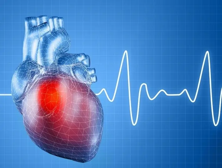 Research Finds: Heart Rate is Linked to Longevity – What is the Ideal Heart Rate? The Answer is Clear!