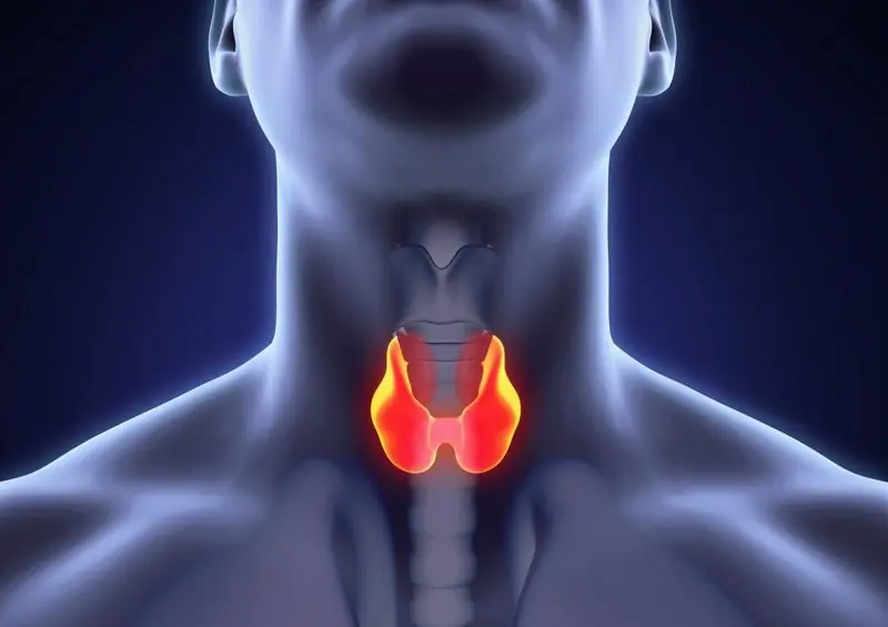 Over 200 Million People in China Suffer from Thyroid Disease? WHO Recommends: Stop Eating These 5 Foods to Protect Your Thyroid!