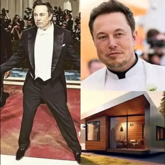 Amazing Home model News ALIEN ARCHAEOLOGICAL WORLD FOOD GOLD MINING PETS UFO Elon Musk: The Billionaire Who Chooses a $50K Tiny Home