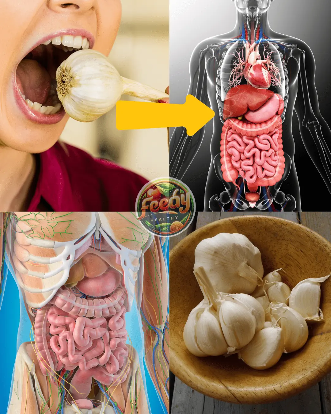 Unlock the Power of Garlic: Chew Two Cloves Daily to Say Goodbye to Health Problems