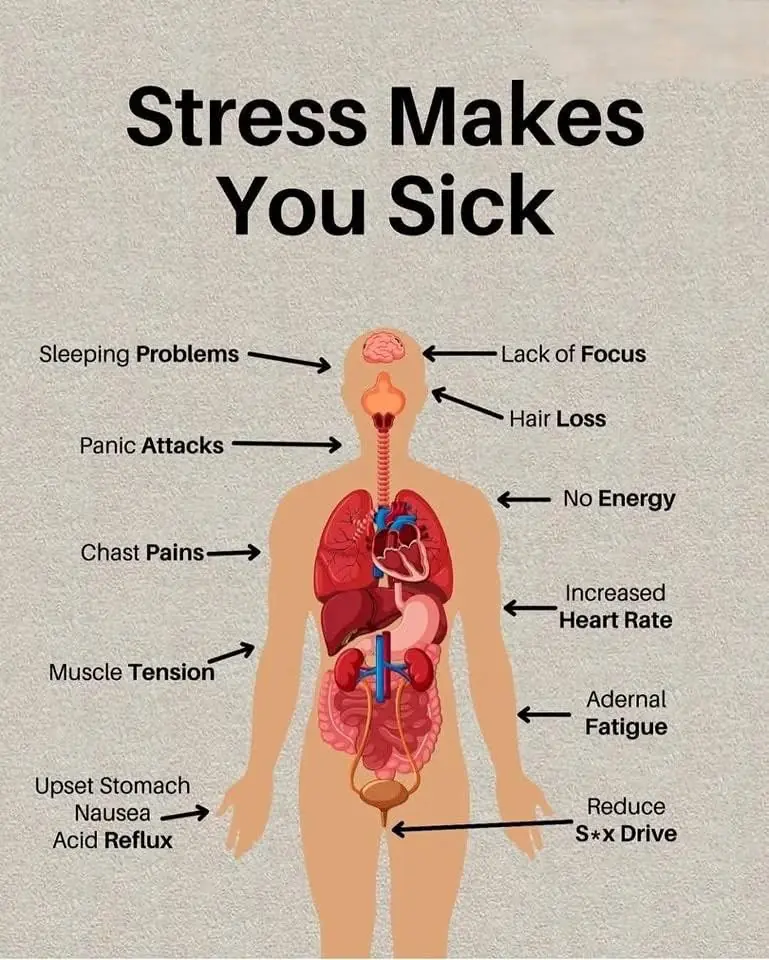 How Stress Affects Your Health & Ways to Manage It