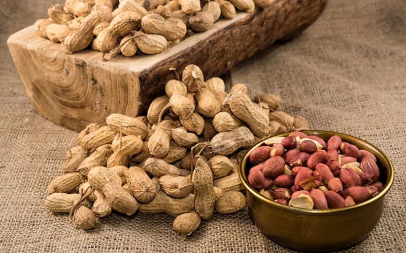 Are Peanuts a "Trigger" for Diabetes?