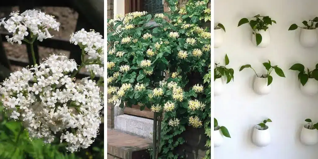 12 Beautiful Houseplants That Will Help You Sleep Better