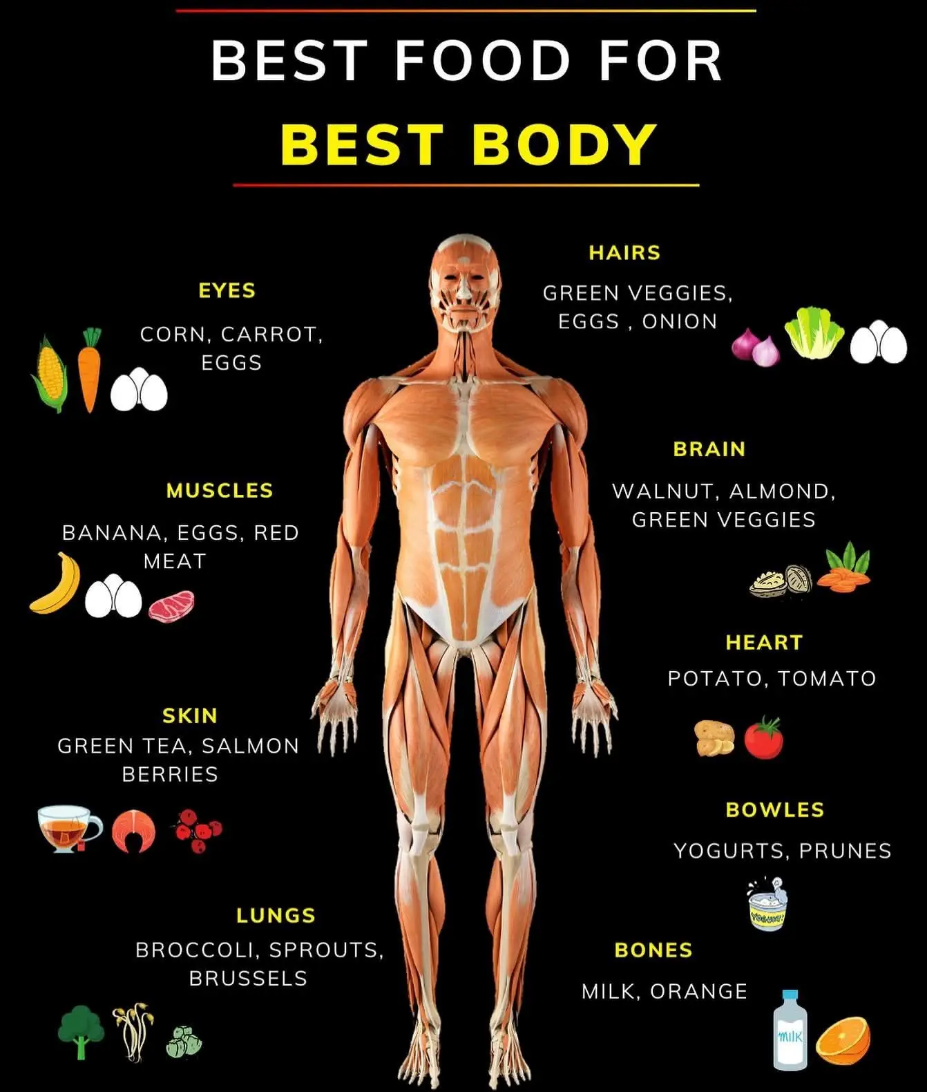 Best Foods for the Best Body 💪🥗