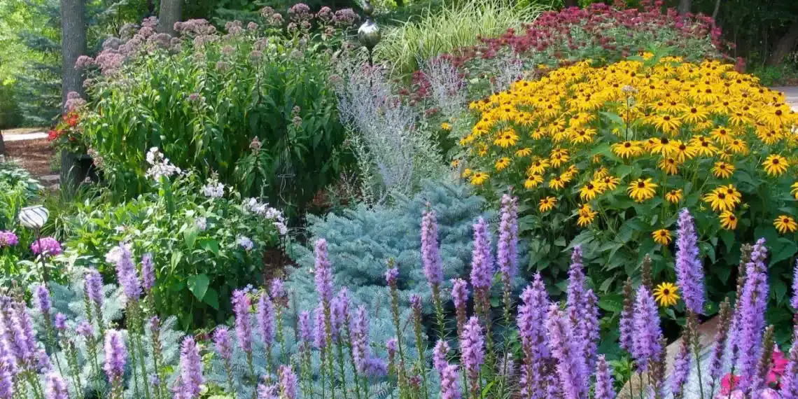 20 Perennials That Bloom Multiple Times a Year