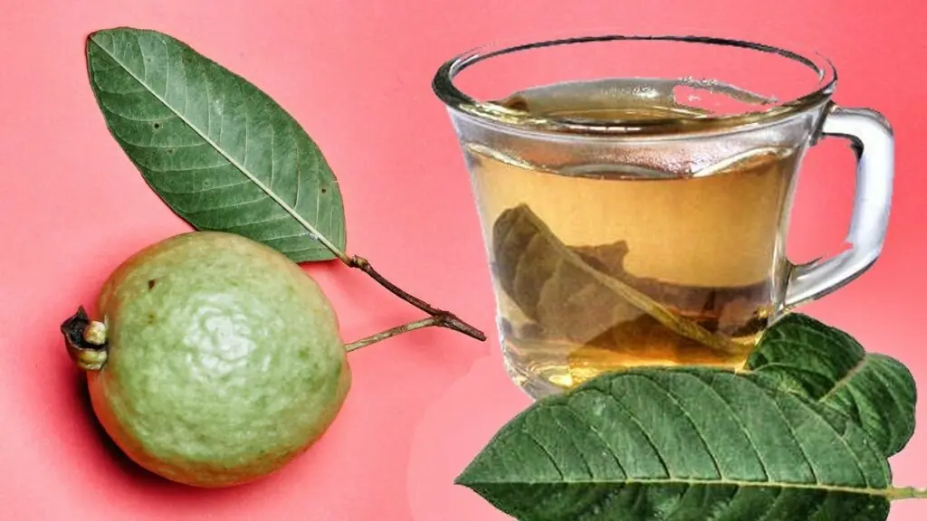 What Happens When You Drink Guava Leaf Tea? – 3 Key Benefits