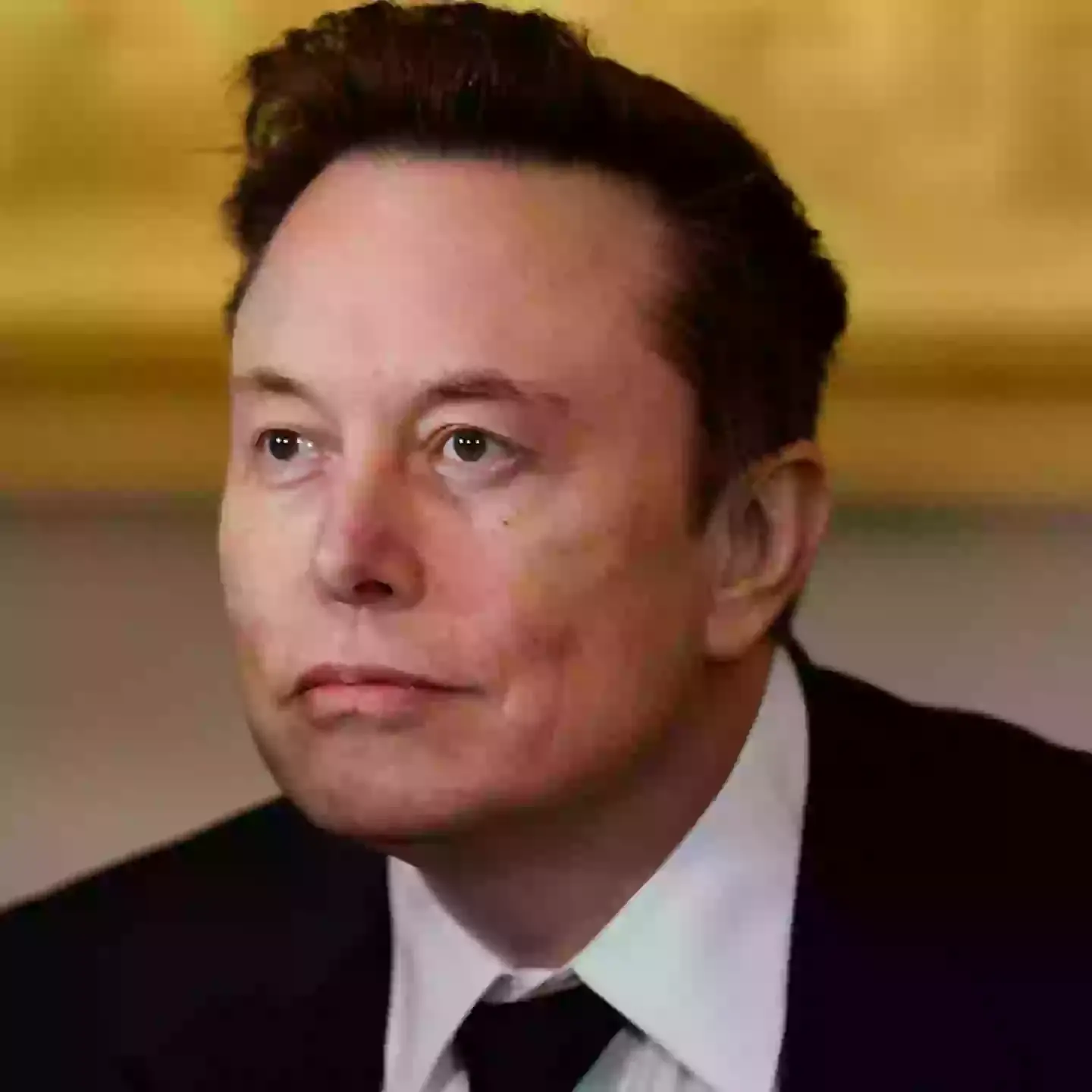 World's richest man Elon Musk is now officially $116,000,000,000 poorer than his peak net worth