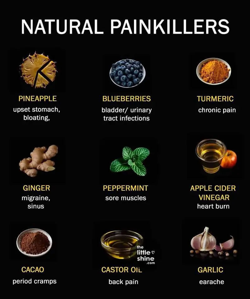 🌿 Natural Painkillers – Heal Your Body Naturally! 💪🍃