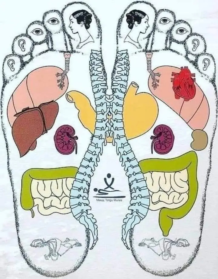 ¡TU CUERPO ESTÁ PIDIENDO AYUDA! 10 Señales de Deficiencia de Nutrientes y Cómo Solucionarlas