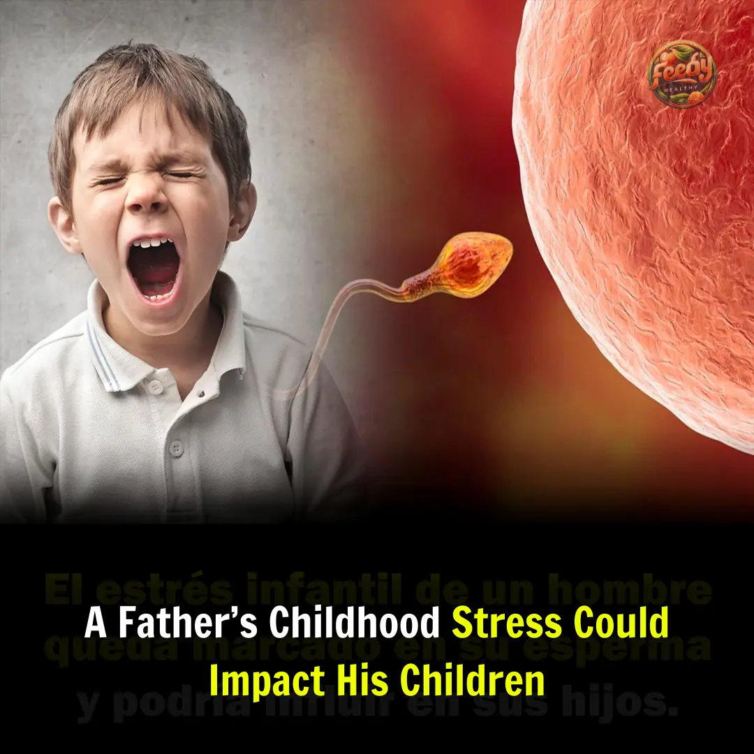 A Father’s Childhood Stress Could Impact His Children