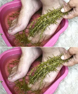 Soothe Joint and Foot Pain Naturally with a Rosemary Soak