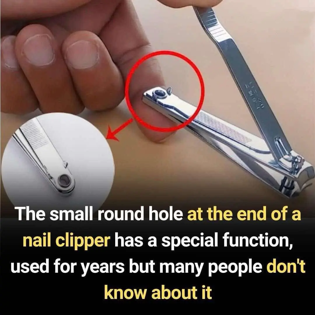 A small round hole at the end of the nail clip