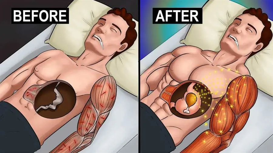 5 Reasons to Have Protein Before Bed