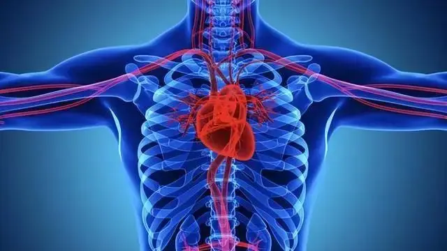 Cardiologists Warn: Stop Eating These 4 Foods Immediately – The Longer You Eat Them, the More Clogged Your Arteries Get