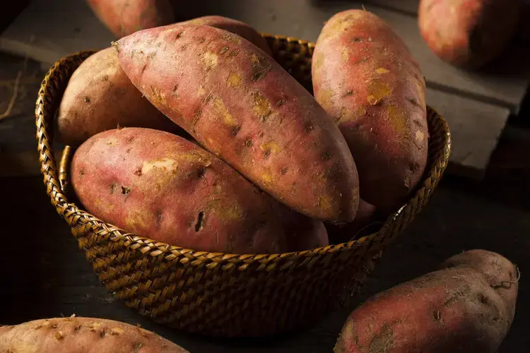 Sweet Potatoes Are in the Spotlight Again! Doctors Warn: Pay Attention to These Key Points When Eating Them