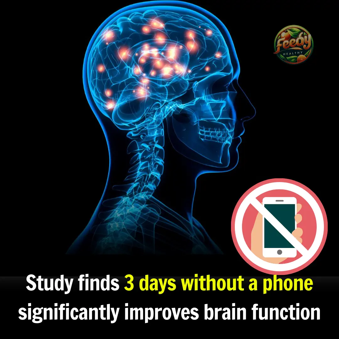 Effects of smartphone restriction on cue-related neural activity