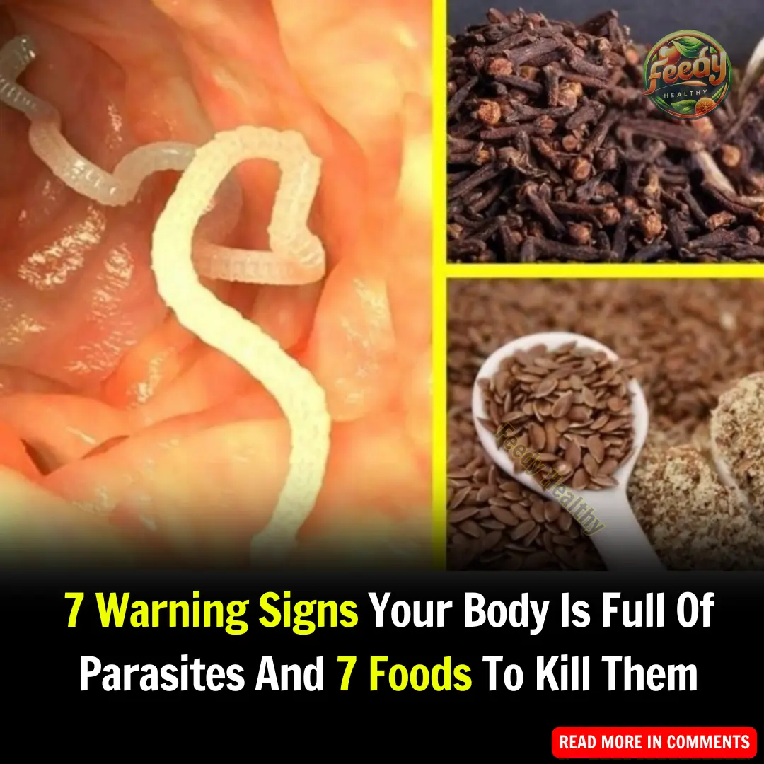 7 Signs Of Intestinal Parasites Living Inside Your Body