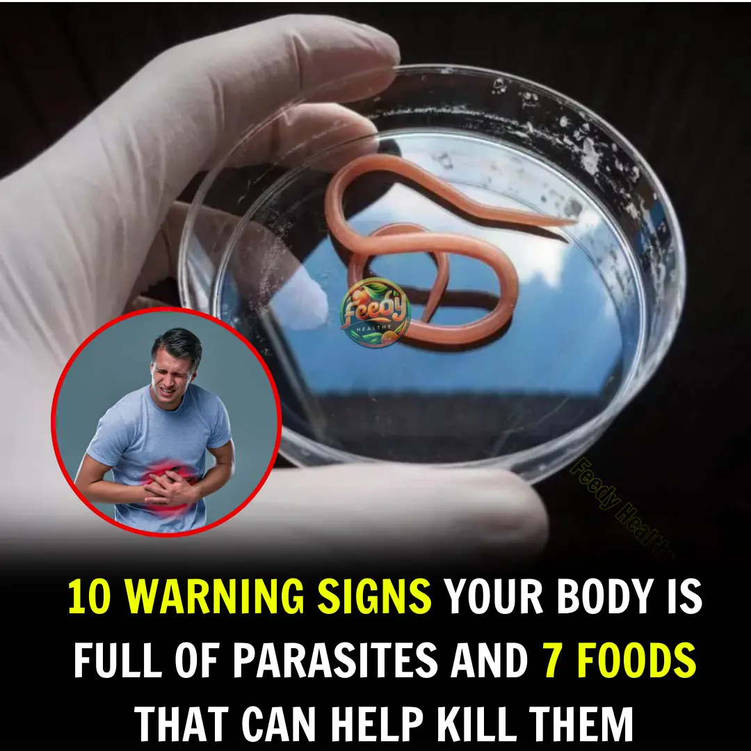 10 WARNING SIGNS YOUR BODY IS FULL OF PARASITES AND 7 FOODS THAT CAN HELP KILL THEM