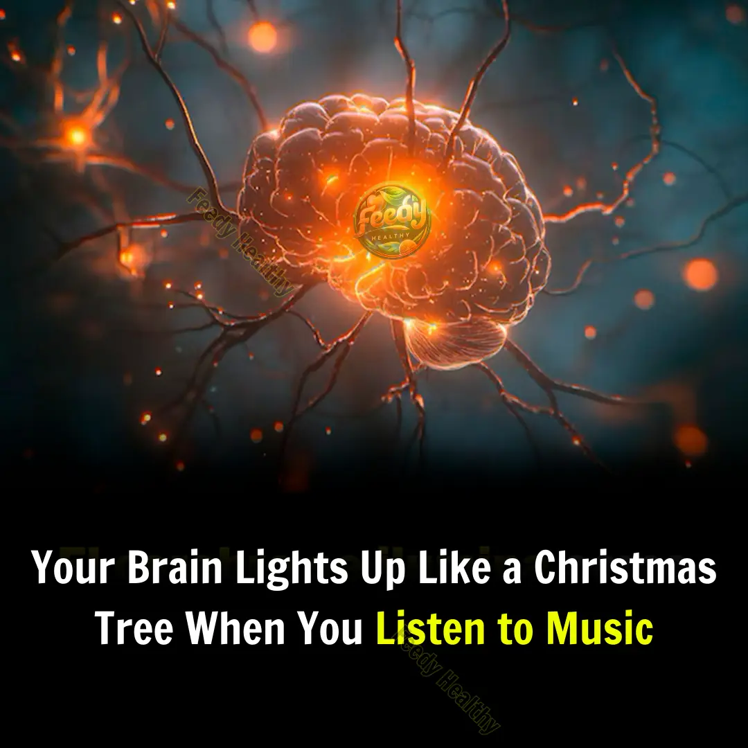 Your Brain Lights Up Like a Christmas Tree When You Listen to Music