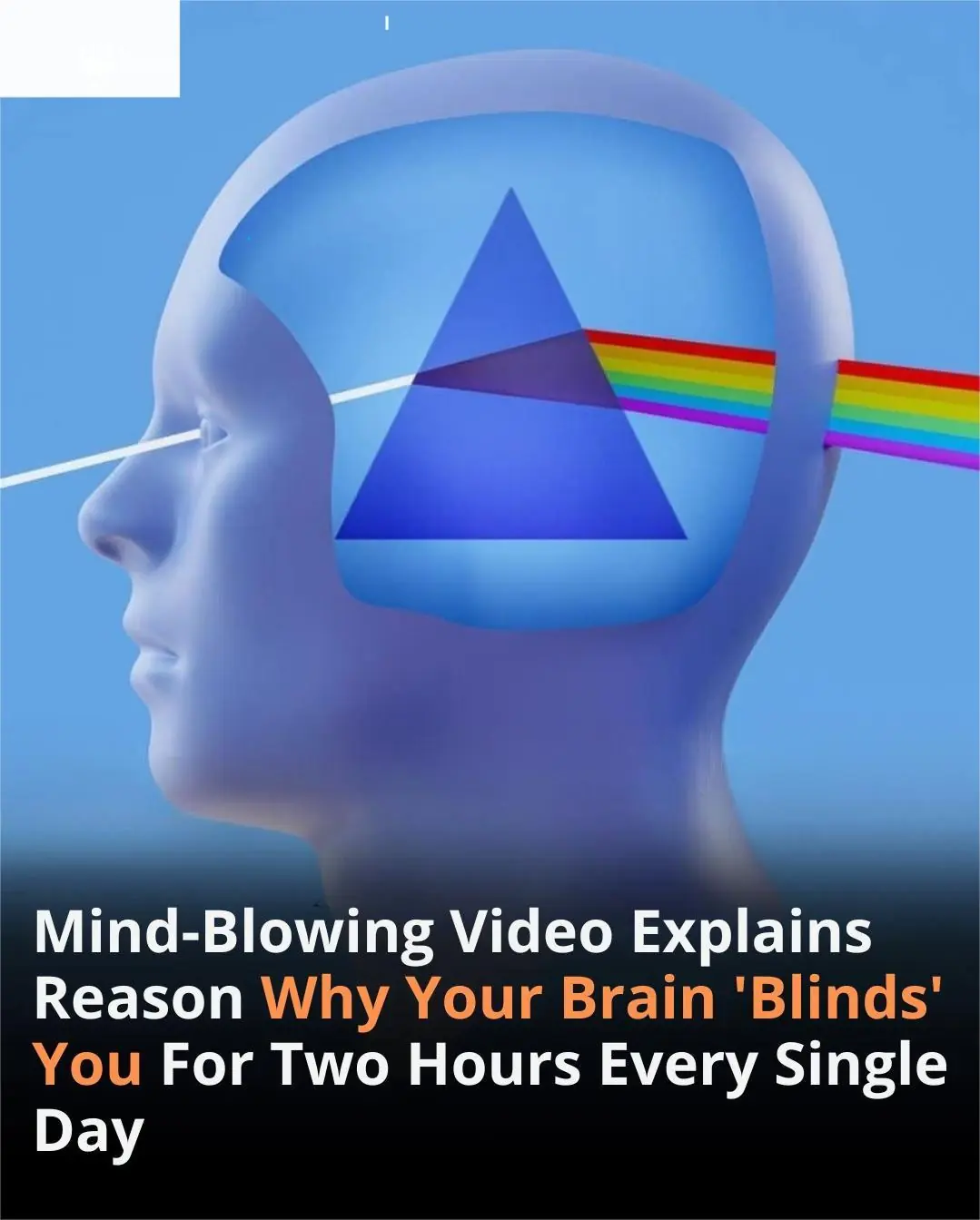 Stunning Video Reveals Why Your Brain ‘Blinds’ You for Two Hours Each Day