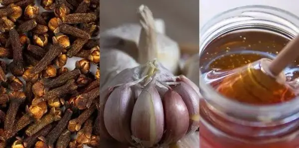 Mixing Garlic and Honey with Cloves: The Secret No One Will Ever Tell You