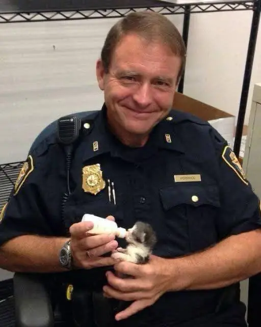 A police officer discovered a little kitten, but when he checked the security footage, his smile faded