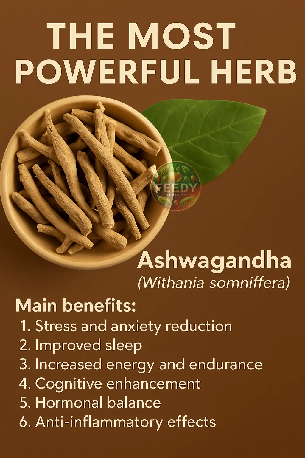 THE MOST POWERFUL HERB YOU SHOULD KNOW ABOUT 🌿