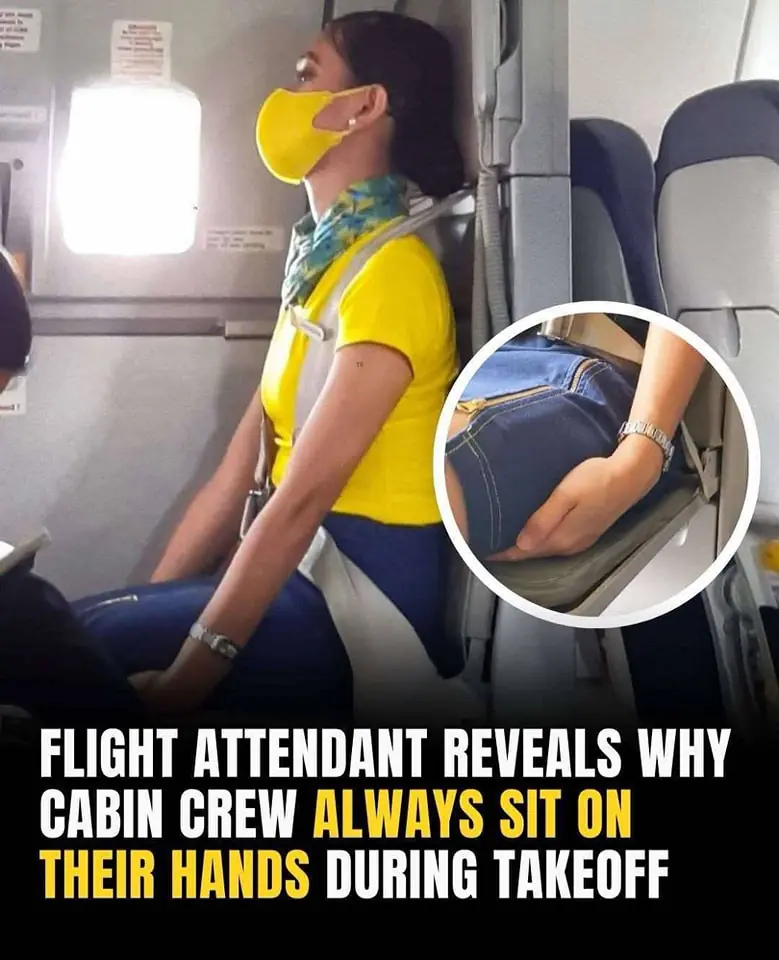 Flight attendant explains the unexpected reason cabin crew keep their hands under their thighs during takeoff and landing