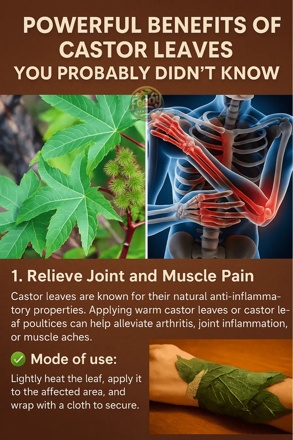 Powerful Benefits of Castor Leaves You Probably Didn’t Know About