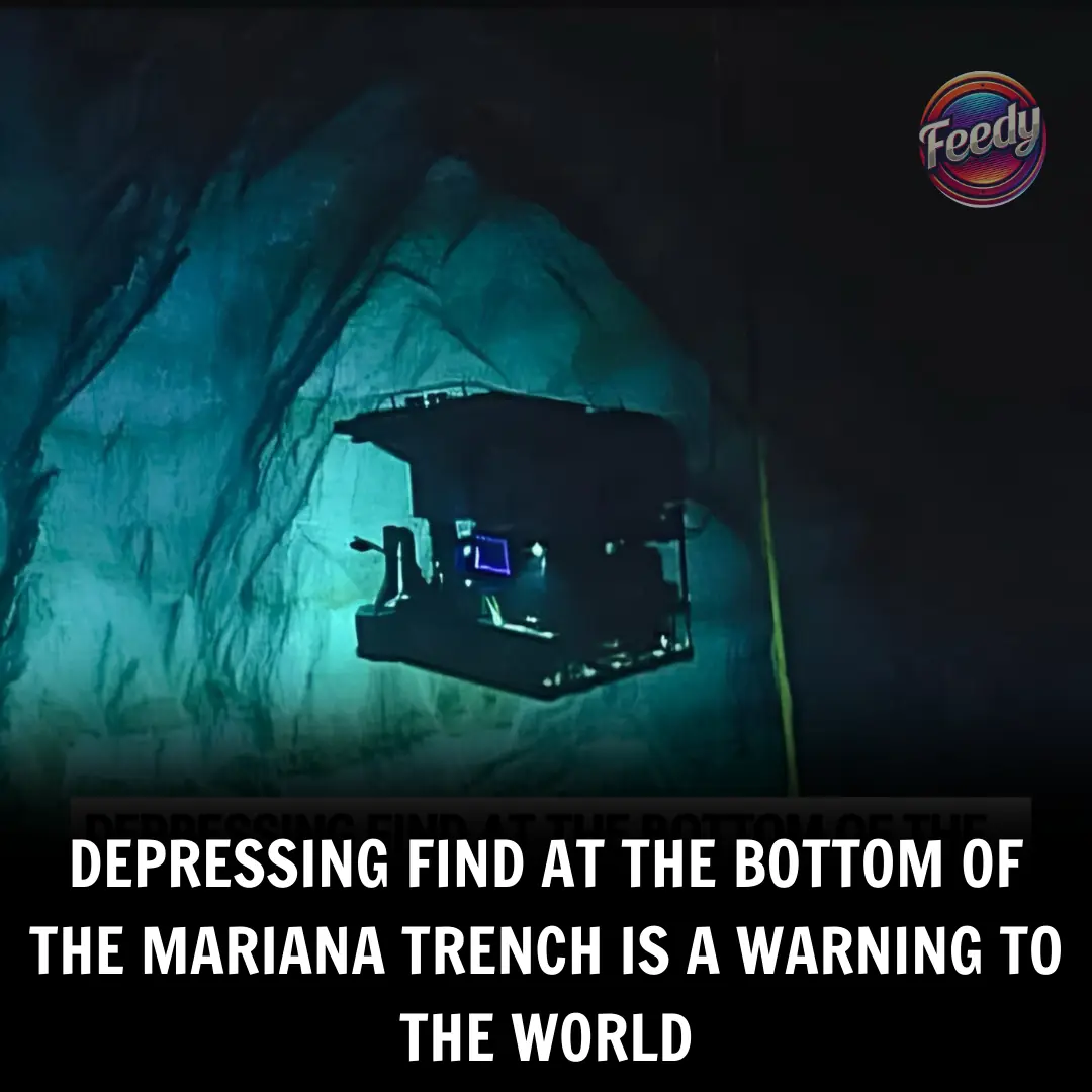Depressing find at the bottom of the Mariana Trench is a warning to the world