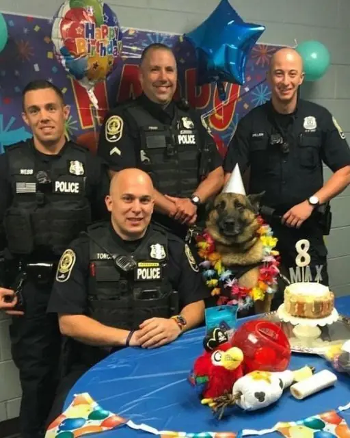 WE THREW OUR K9 HIS 8TH BIRTHDAY—BUT MIDWAY THROUGH, HE LED US TO SOMETHING WE NEVER EXPECTED