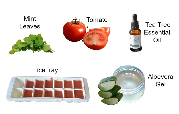 DIY Tomato ice cubes to Remove Dark Spots & Clear Skin | Tomato Benefits for Skin