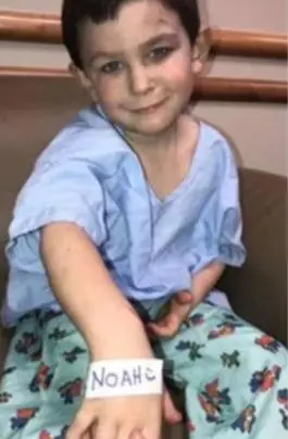 5 years old saves sister, dog from burning home then alerts rest of family