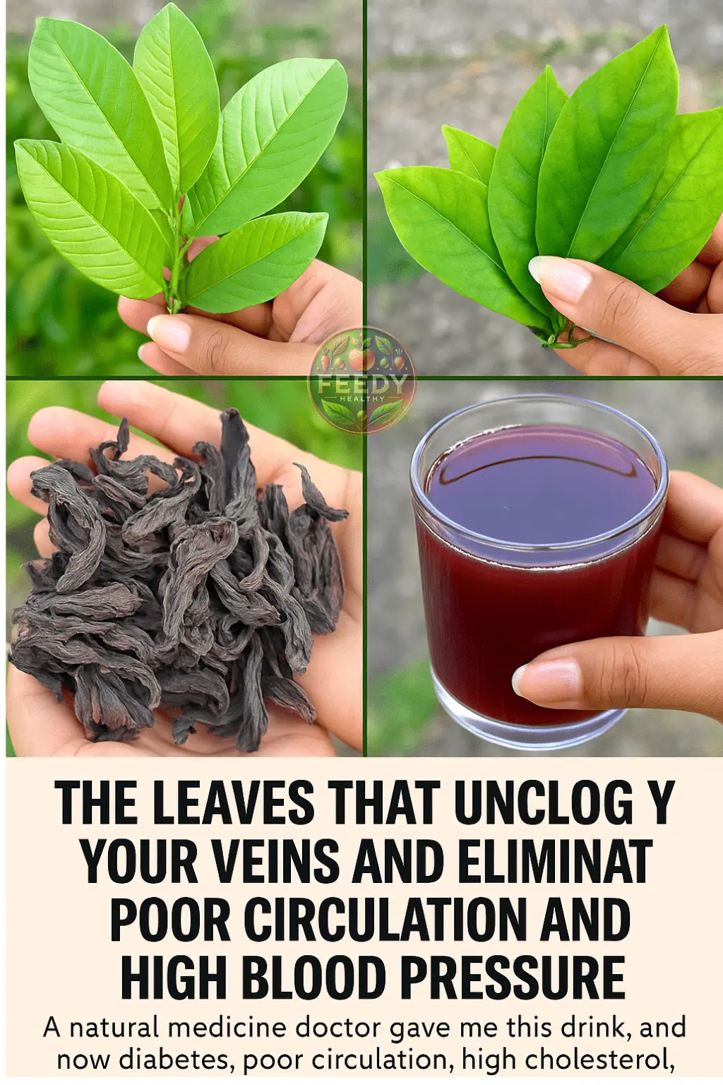 The Leaves That Unclog Your Veins and Eliminate Poor Circulation and High Blood Pressure