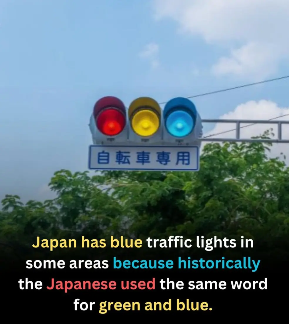 Japan Green Traffic Lights: The Curious Case of Blue Signals